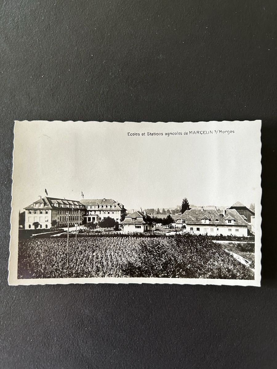 Cartoline postali: Carte postale ancienne Marcelin/Morges, rare édition! – Usato da St-Cierges venduto da Crisi53