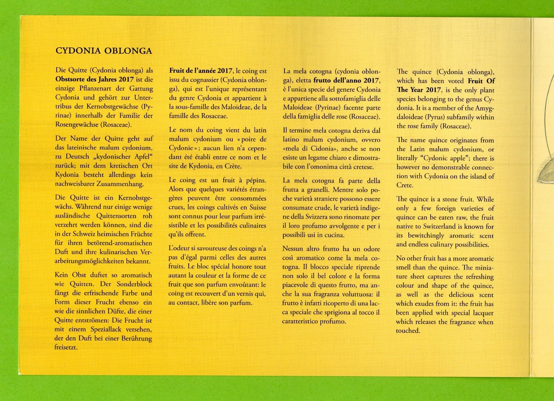 Tutti i francobolli: 2017 Quittenduft Geschenkfolder 1. Tag LP – Usato da Stein am Rhein venduto da Huehnerhund 1