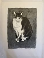 Rolf Gfeller Orig.Farblitografie handsig.  Nr. 76x57cm