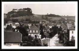 Foto-AK Lenzburg, Blick über den Ort
