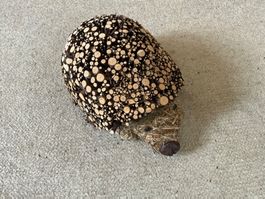 Igel Dekoration aus Holz und Stroh