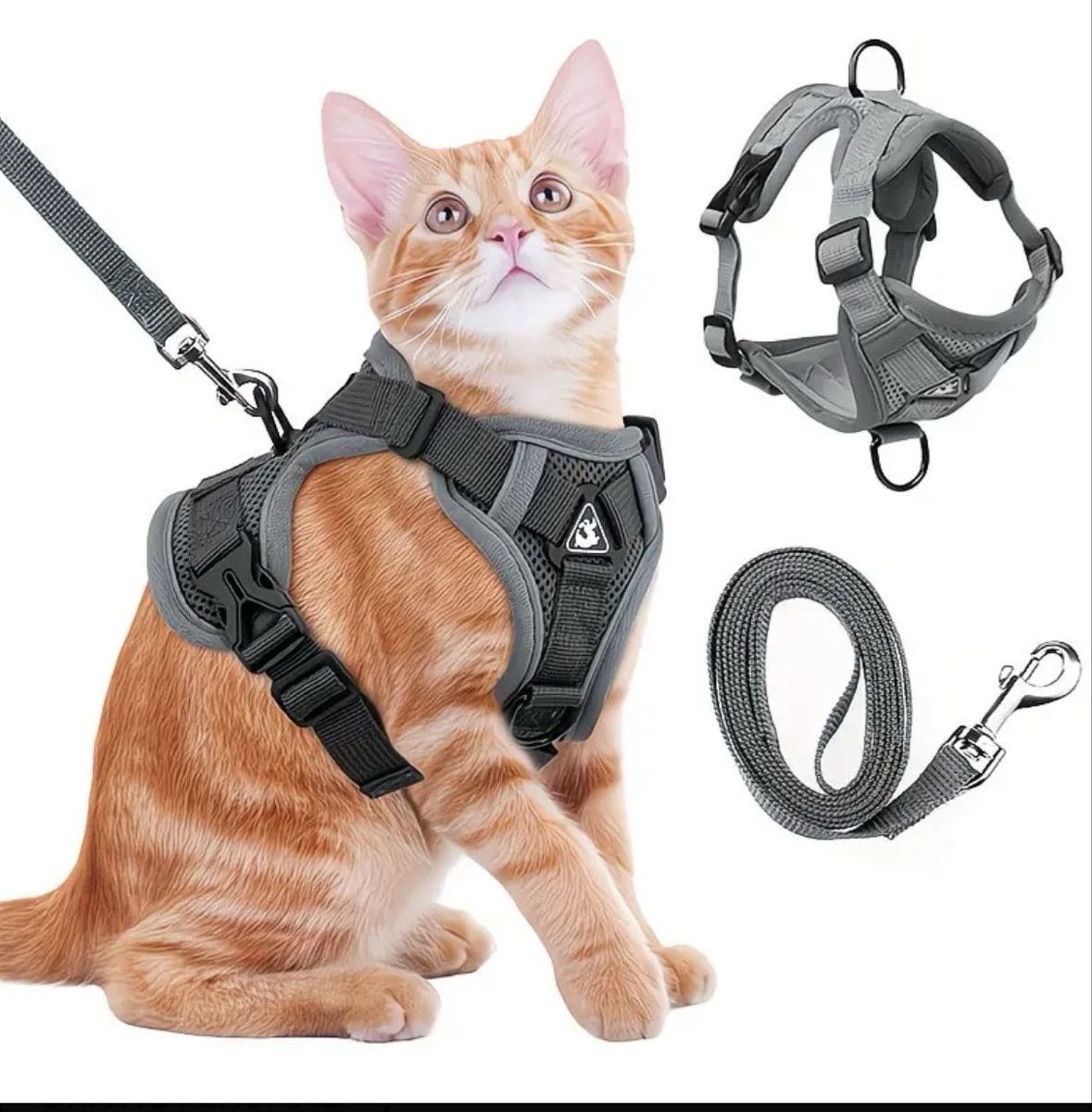 Set di piatti: Katzengeschirr Gr.S – Nuovo e nell'imballaggio originale da Niederhasli venduto da secondhand10