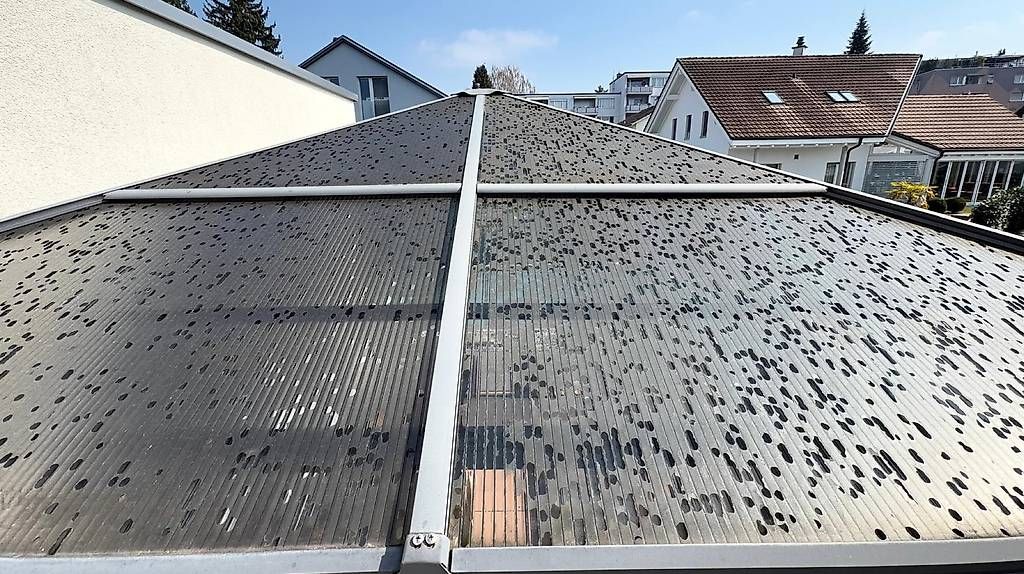 Unterstände: Pergola – Gebraucht aus Gebenstorf von fra_dyj7 3