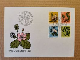 FDC Pro Juventute 29.11.1973