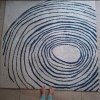 Hochflor Teppich (EIVOR CIRKEL) 200x200 cm wie neu
