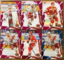 Sportzoo 25/26 - EHC Biel (Pink & Blue)