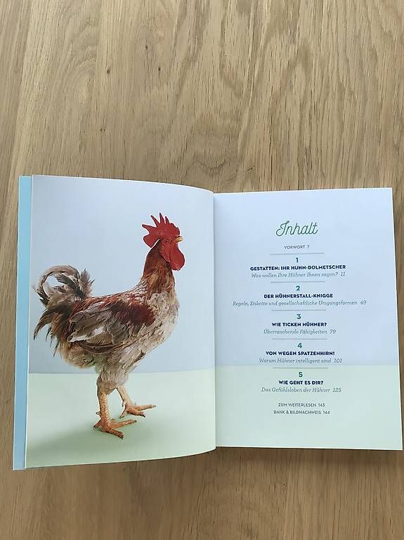 Libri: Buch How to speak chicken – Usato da Egolzwil venduto da taraxacum65 2