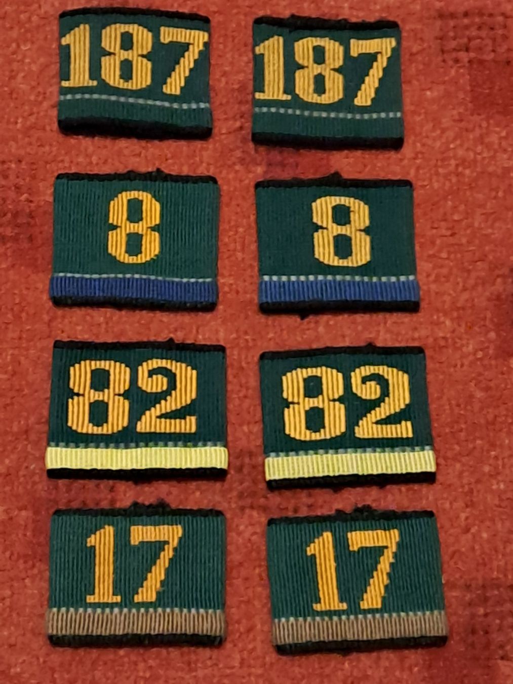 Schweizer Armee Uniformi: 4 paar Infanterie Patten – Usato da St.Gallen venduto da Infanteriewerk