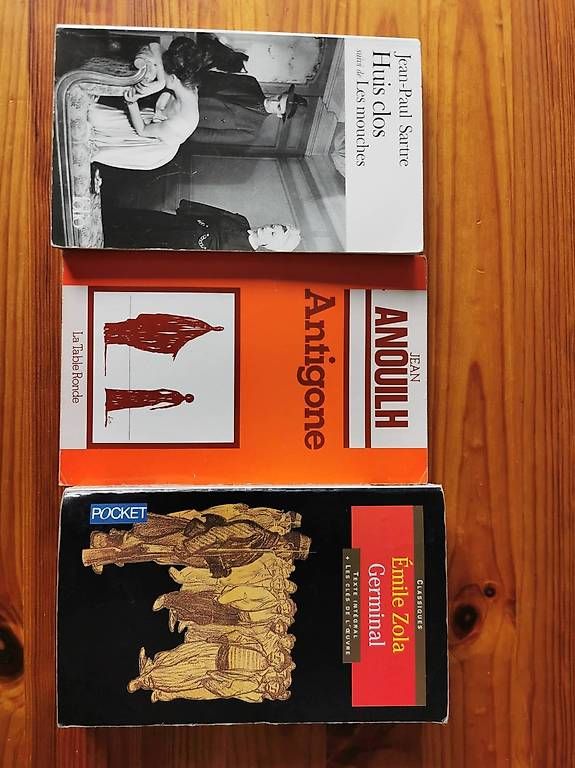 Libri: 15 livres de divers auteurs – Usato da Leytron venduto da Angi189 3