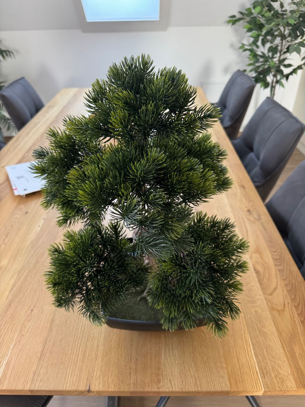 Piante & sementi: Kunstpflanze Bonsai Baum 50cm – Usato da Aadorf venduto da rin_7kjn 1