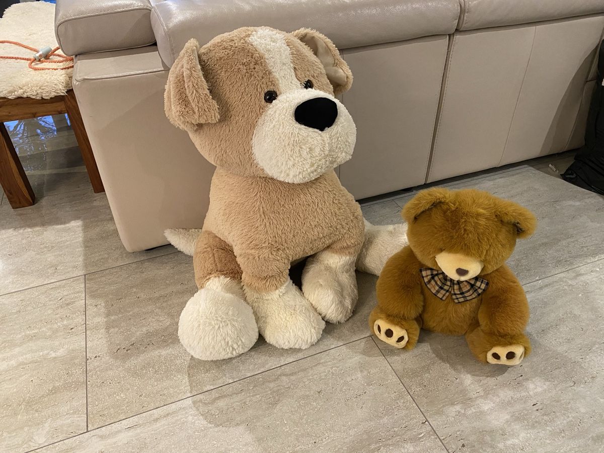 Puppen: Riesen Plüsch Hund  – Gebraucht aus Birrwil von Bendegriz