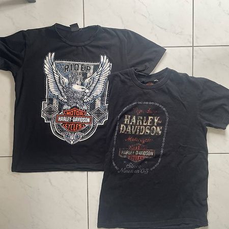Harley Davidson Shirts