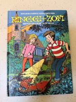 Ringgi und Zofi Abenteuer um die alte Villa