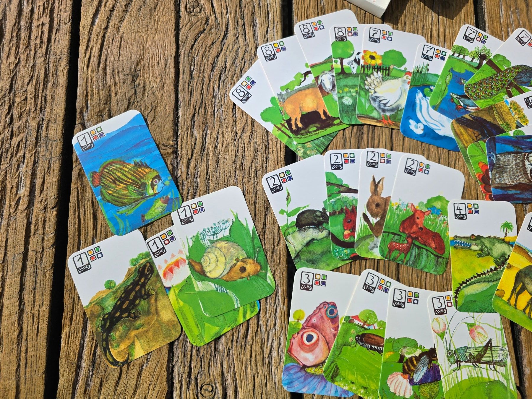 Giochi: Quartett: Kartenspiel Tiere – Usato da Romanshorn venduto da Rachacha 8