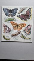 Diggelmann Alex Walter LITHOGRAPHIE SIGNIERT