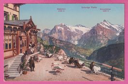 Schynige Platte