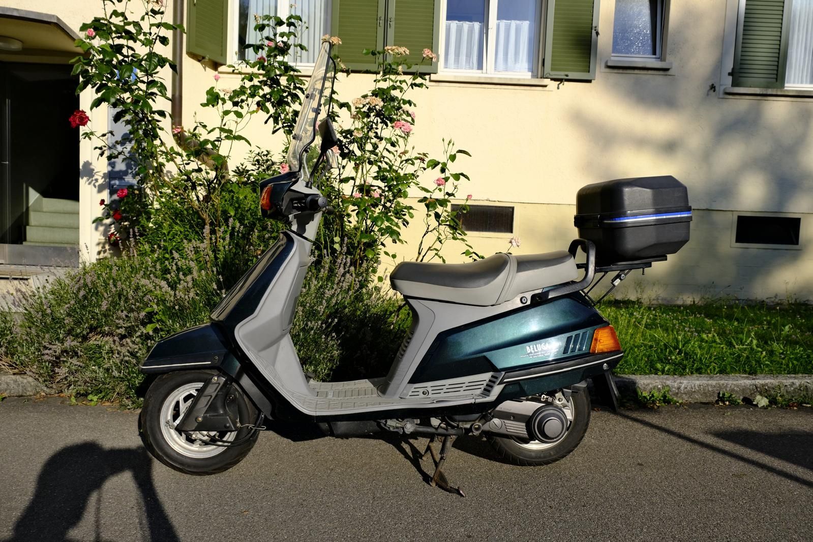 Yamaha Scooter: Yamaha Beluga XC 125 - MFK 01.07.26 – Usato da Zürich venduto da domenag 3