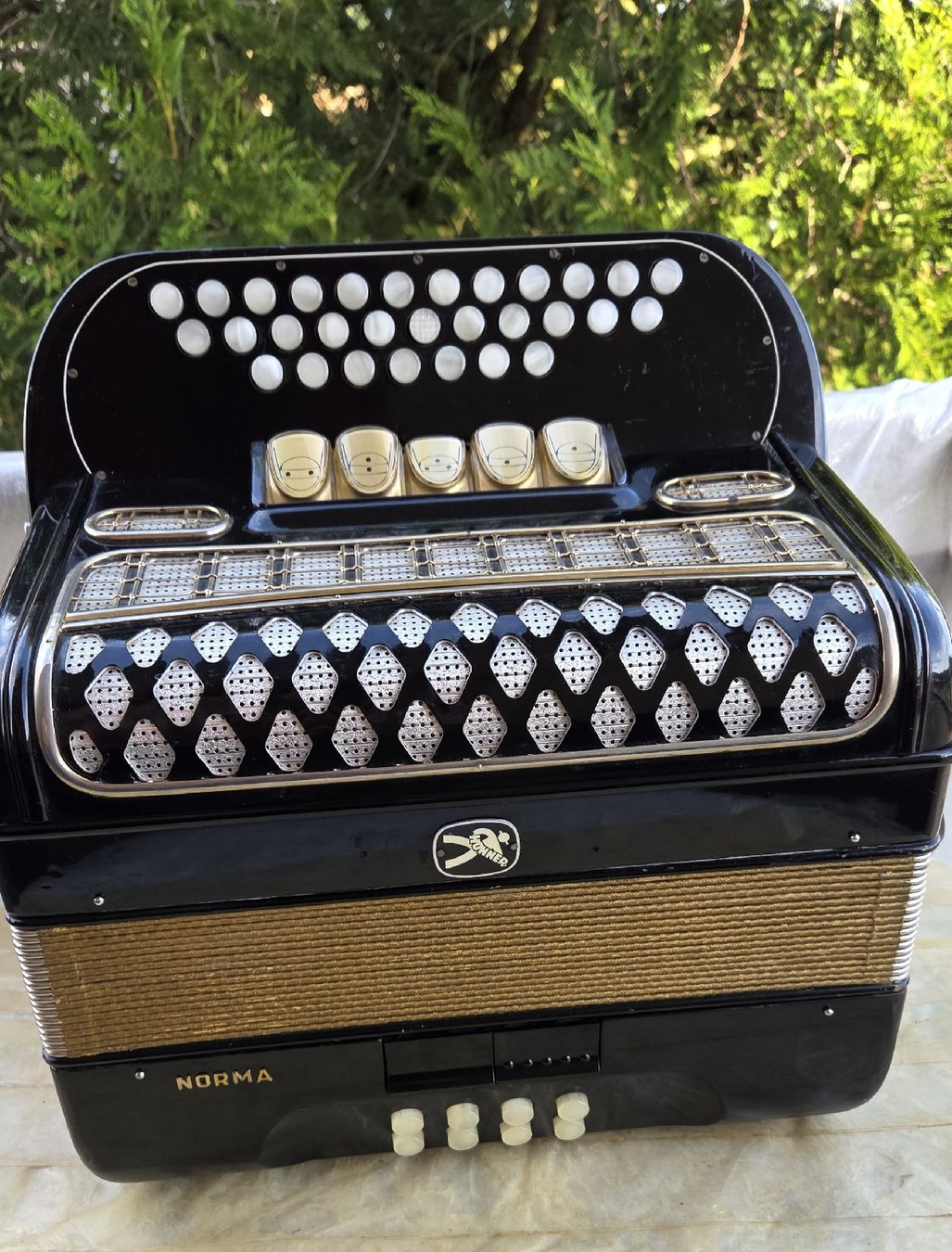 Hohner Strumenti musicali: hohner Norma III de luxe – Usato da Penthalaz venduto da EvandroLuz