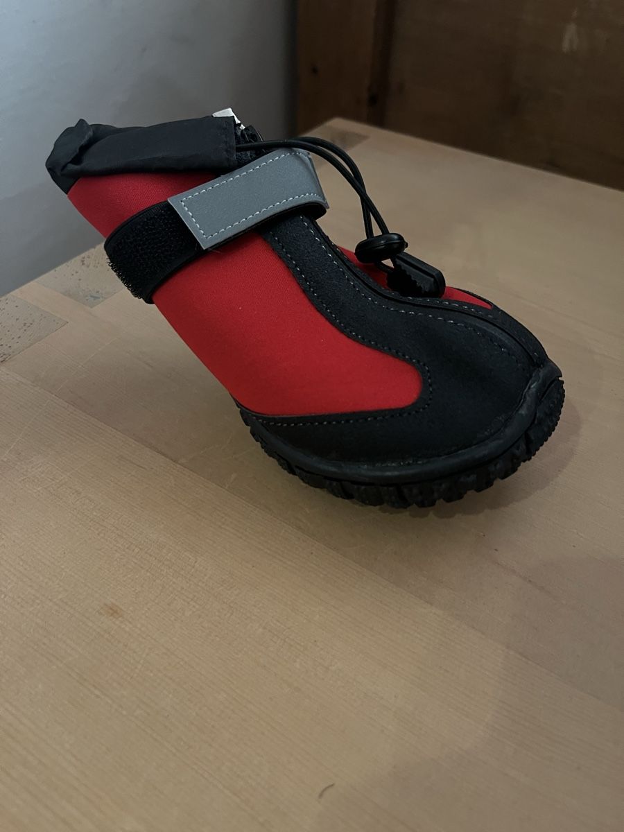Abbigliamento: Pfotenschutzschuhe “pro-active” – Nuovo e nell'imballaggio originale da Zuoz venduto da Gs88 4