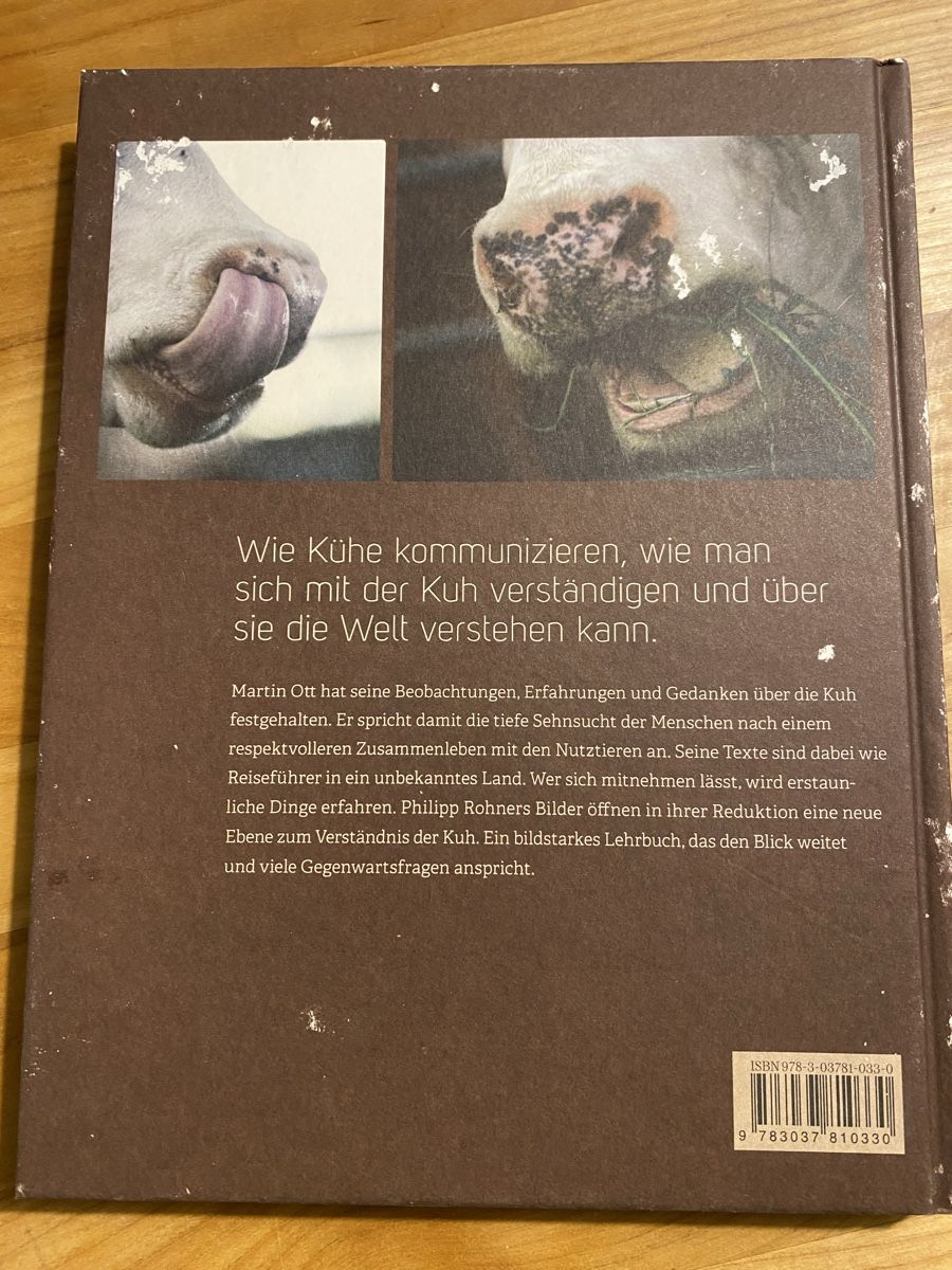 Libri: Kühe verstehen von Martin – Usato da Zürich venduto da Padmanabhan 1