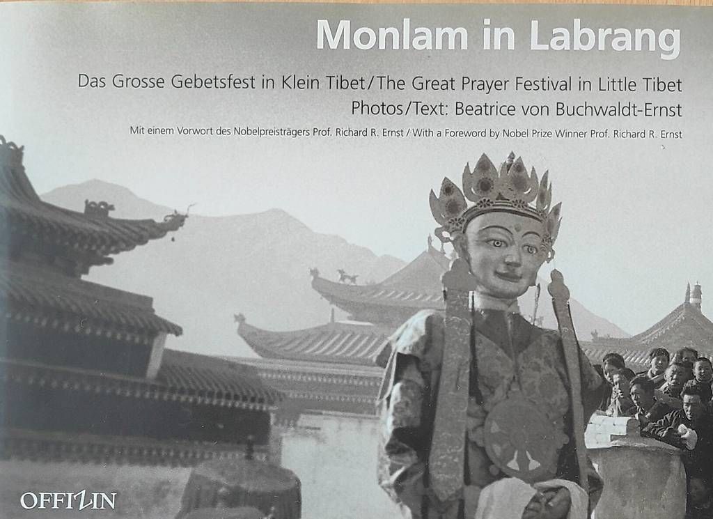 Libri: Diverse Bücher Buddhismus/Himalaya – Usato da Wolhusen venduto da laos02 4