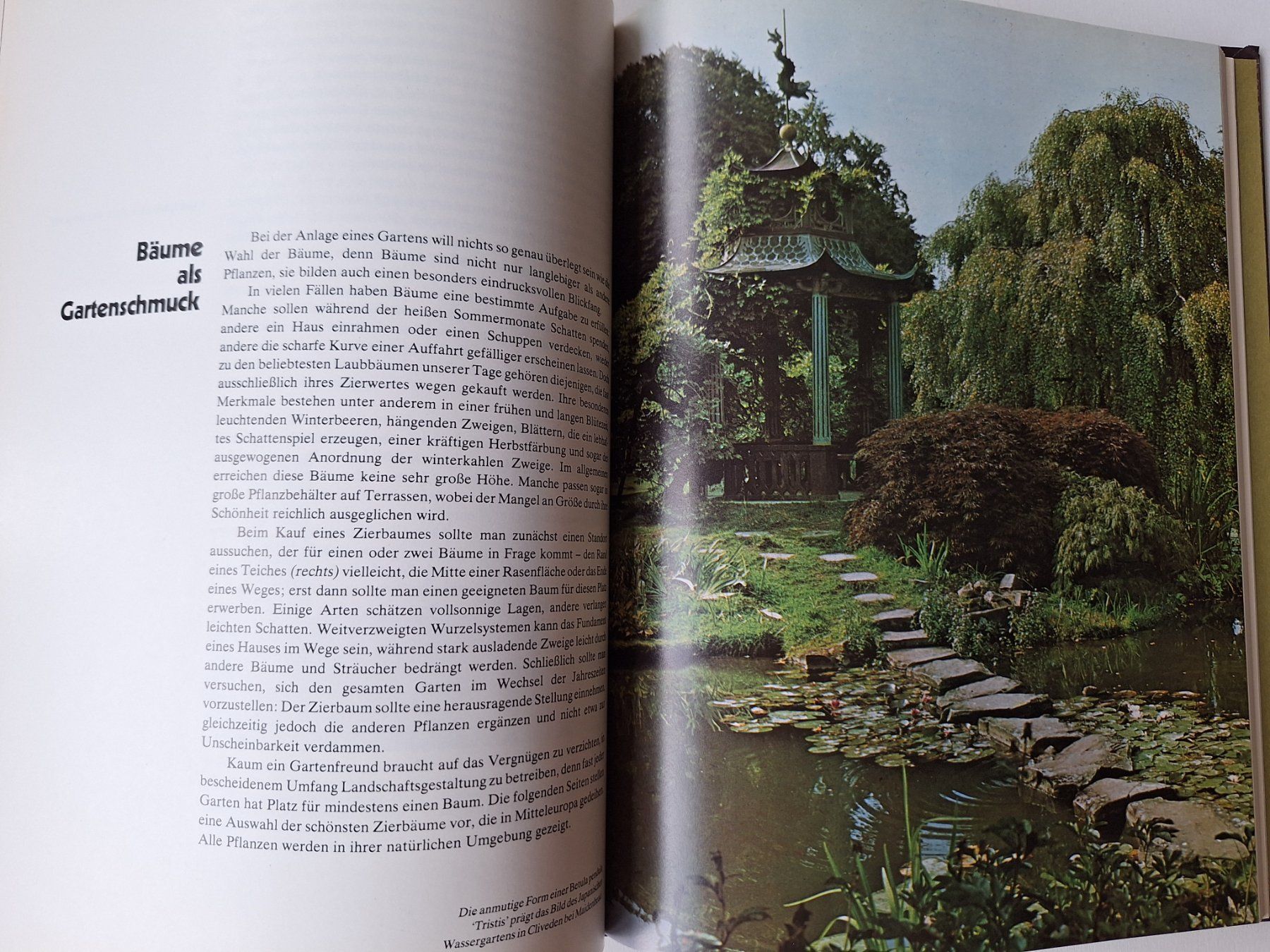 Livres: Bäume, Time-Life Handbuch der Gartenkunde – D'occasion à Zürich par t24_de 5