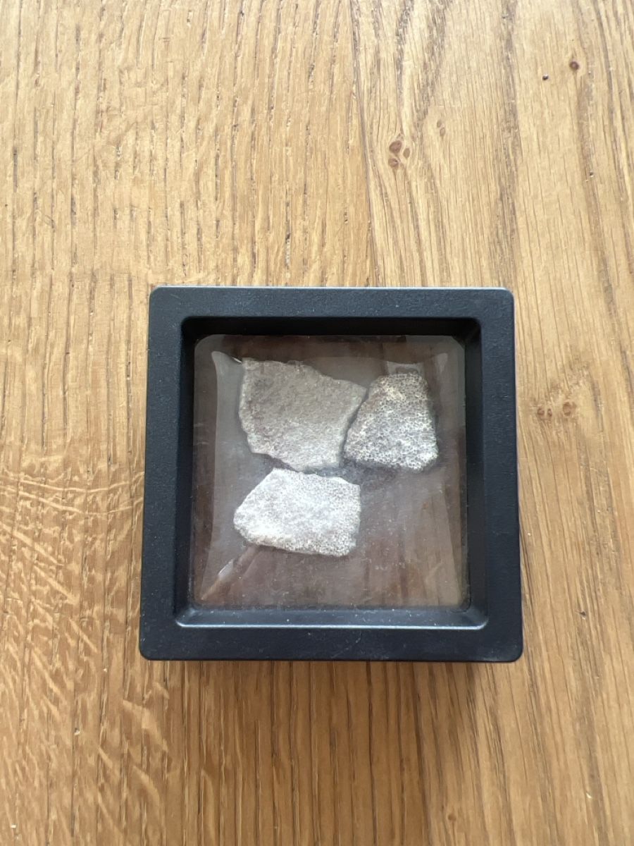 Fossilien: Hypselosaurus Eierschalenfragmente 3stk – Gebraucht aus Ebikon von Angelheart1000