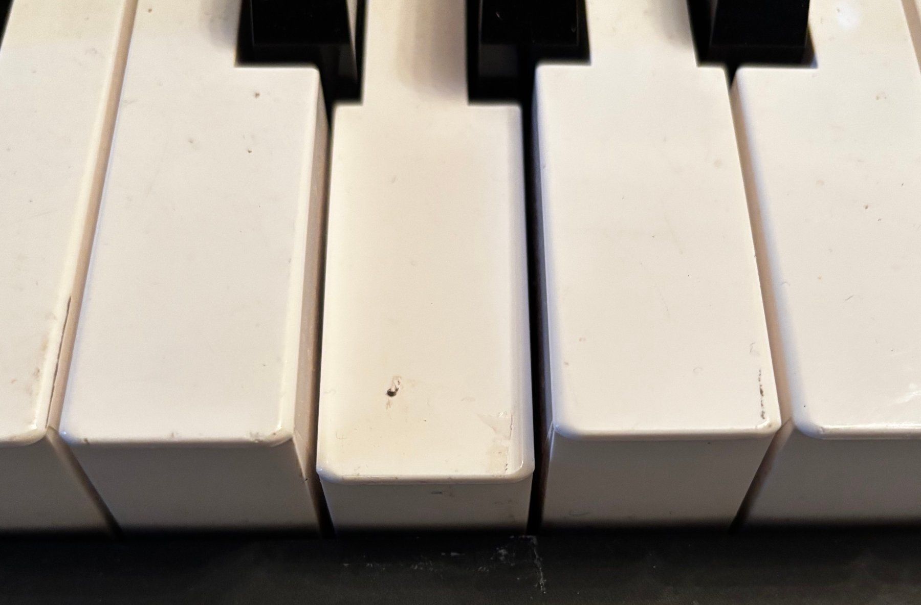 Roland Strumenti musicali: ROLAND Digital Piano FP-8 – Difettoso da Büetigen venduto da castellino 6