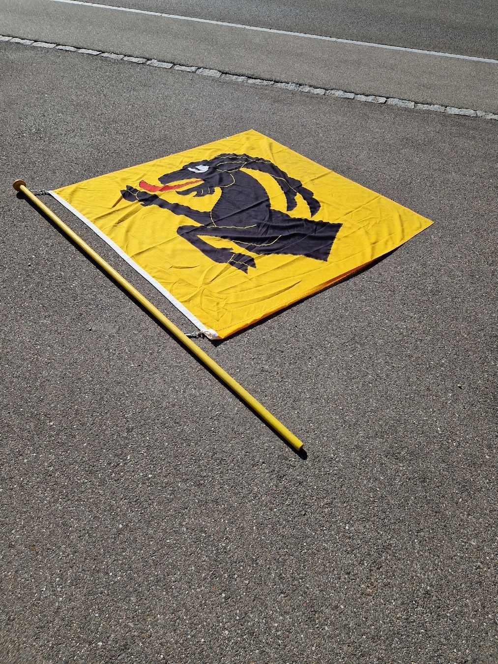 Bandiere: Fahnemast mit Wappentier schwarz-gelb Grösse ca 150cm – Usato da Mörigen venduto da Clio111 1