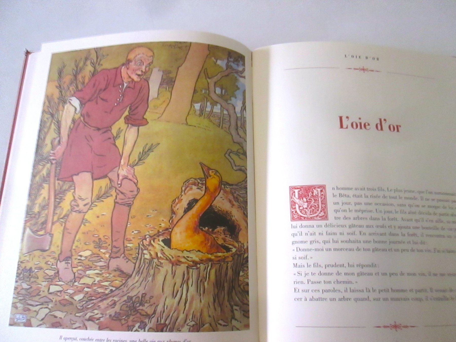 Libri: Les Contes de Grimm, 2009 – Usato da Sementina venduto da babucia 4