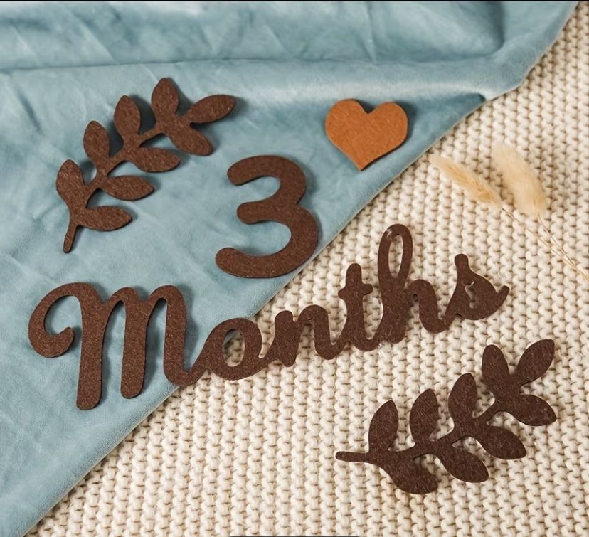 CD: 1 Set Milestone Foam Growth Numbers Months Days – Nuovo (secondo la descrizione) da Dietlikon venduto da Kitaa 2