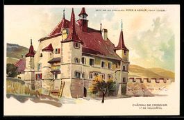Künstler-AK Neuchatel, Chateau de Cressier