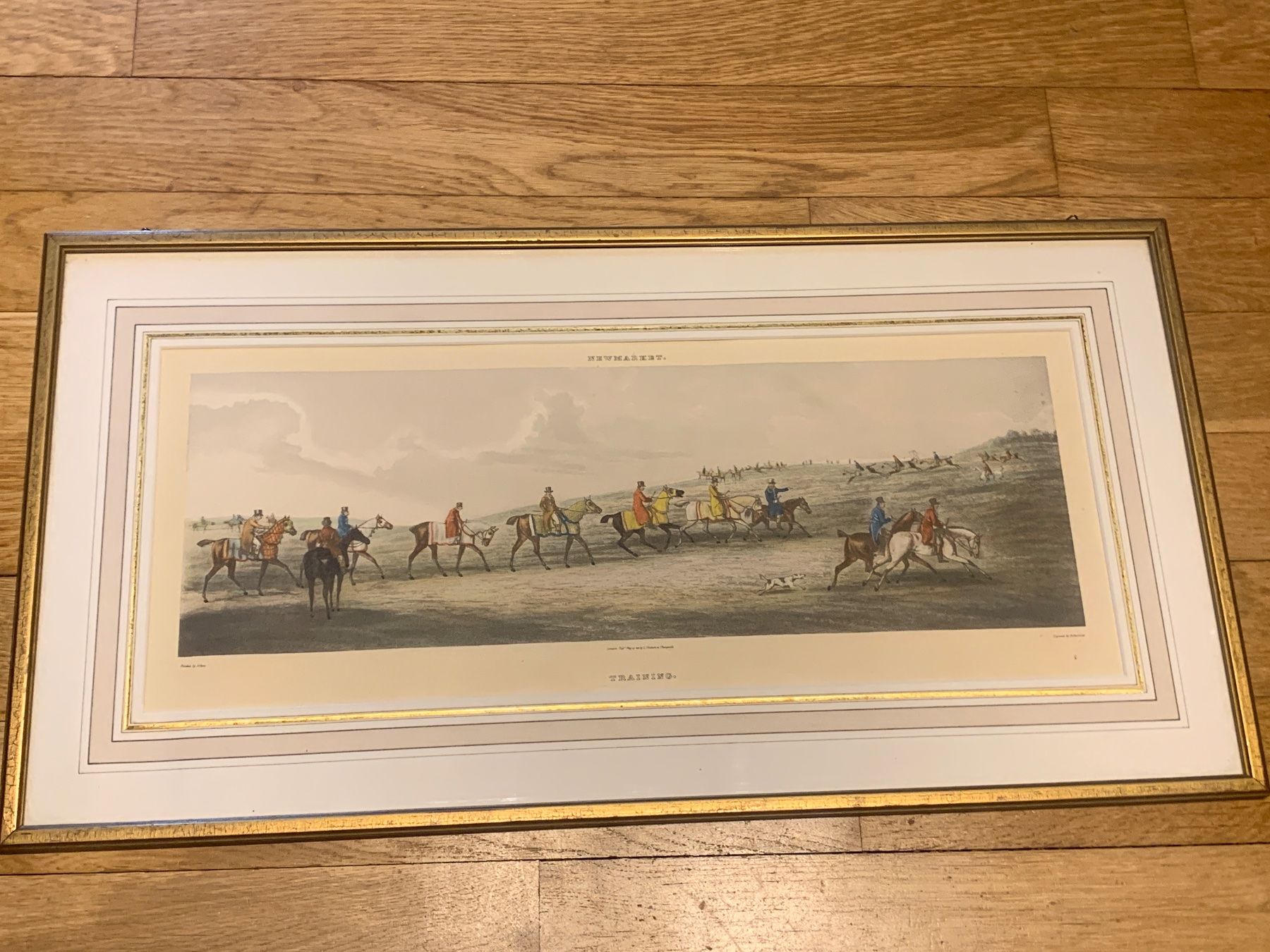 Dipinti: Alken and Sutherland, Newmarket Training – Usato da Stettfurt venduto da 2442