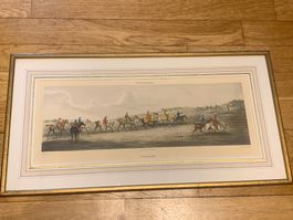 Alken and Sutherland, Newmarket Training