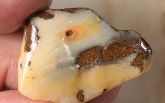 Pietre preziose: Queensland Opalton Rohopal 24.00Cts. – Nuovo (secondo la descrizione) da Bern venduto da Grindelwaldaus