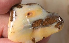 Queensland Opalton Rohopal 24.00Cts.
