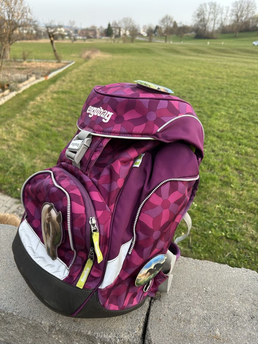 Ergobag Borse & Zaini: Ergobag Schulrucksack Top Zustand – Usato da Nänikon venduto da Mrzulu 1