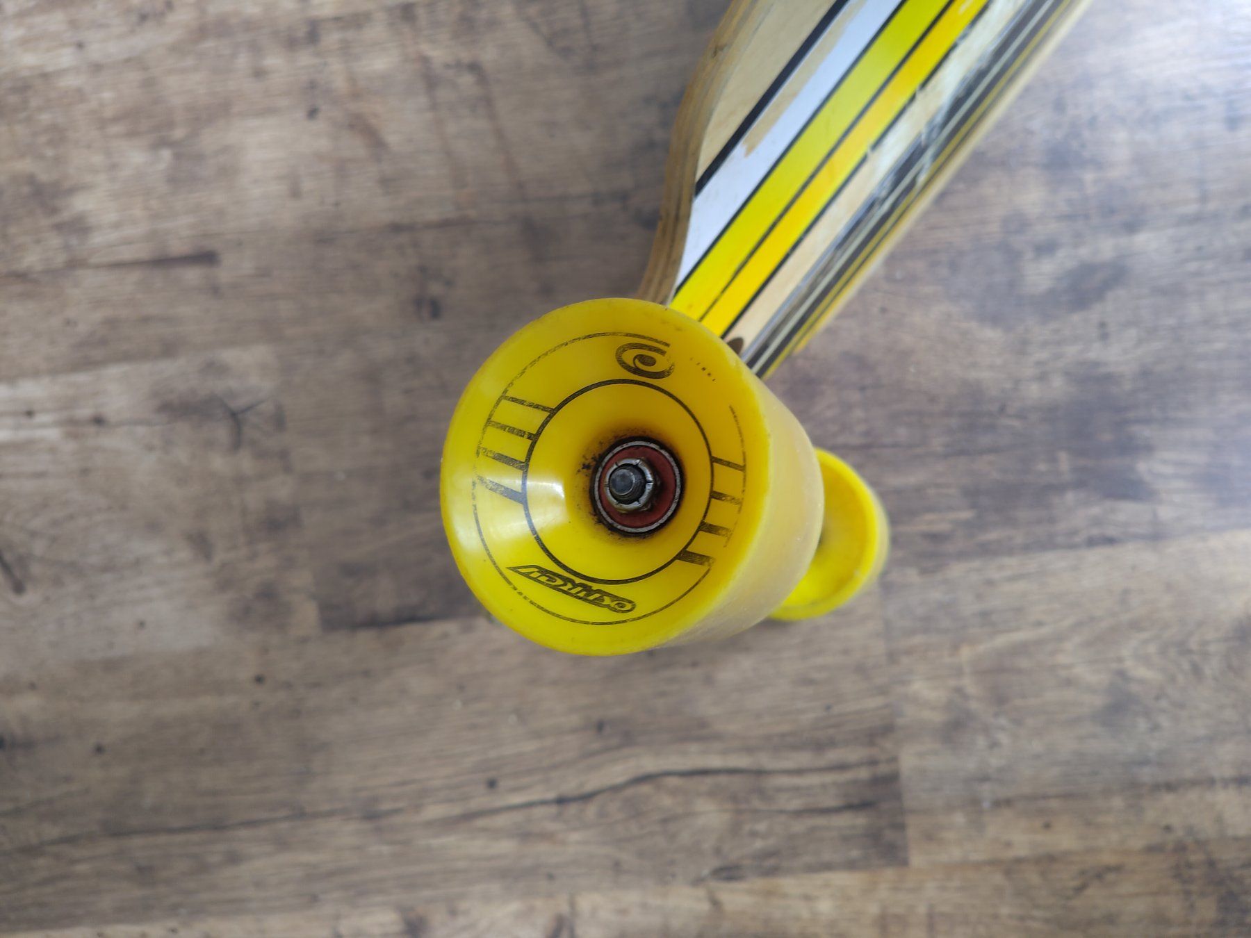 Skateboards: Longboard Osprey – Usato da Zofingen venduto da leila_ig 2