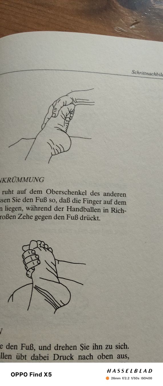 Libri: Reflexzonenmassage – Nuovo (secondo la descrizione) da Volken venduto da katz5 4