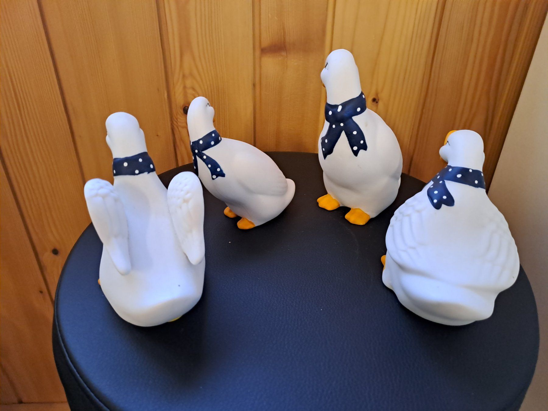 Tutte le decorazioni: Enten Deko – Usato da Werthenstein venduto da Sublix 2
