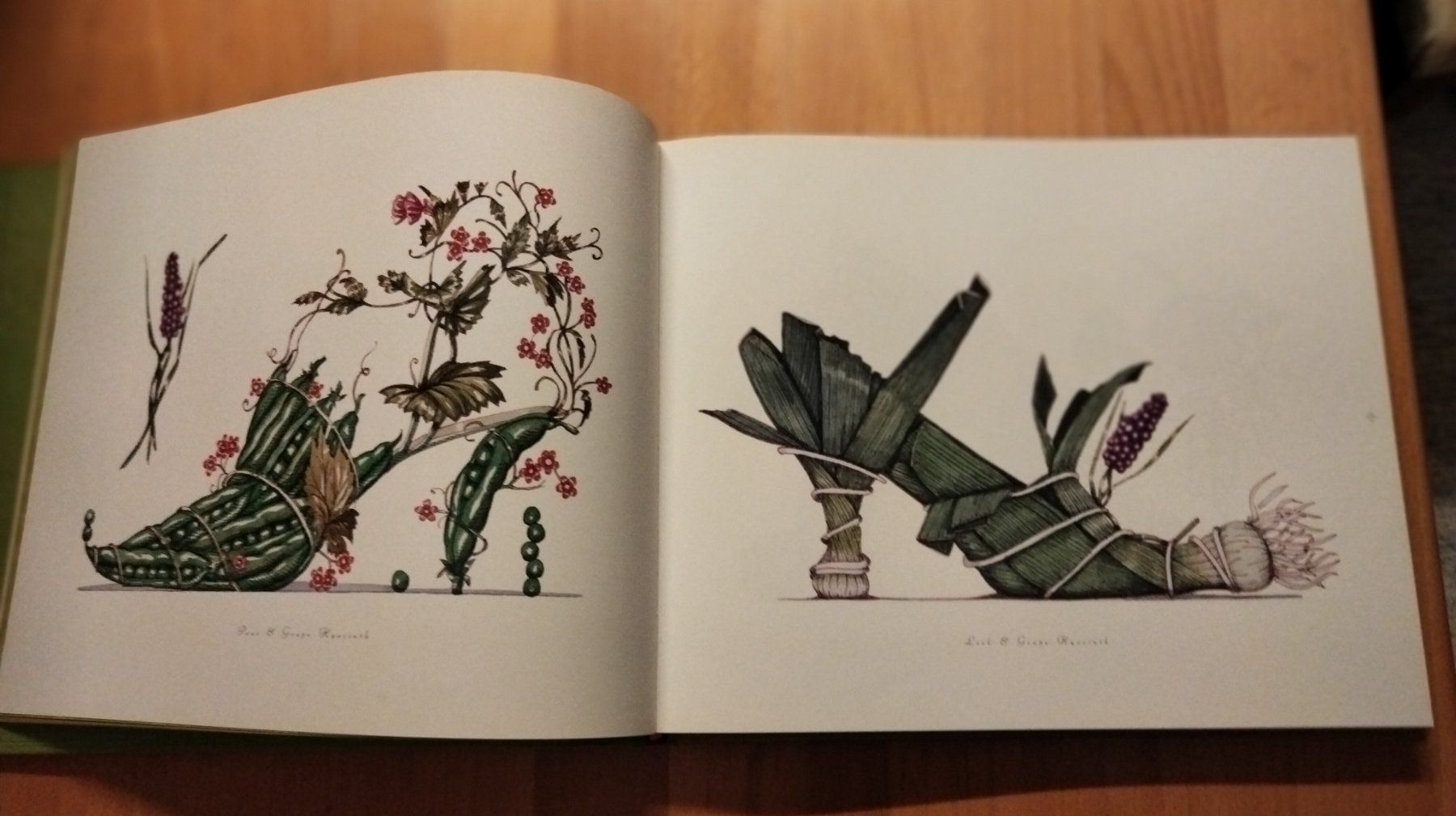 Bücher: The Botanical Footwear Dennis Kyte – Gebraucht aus Niederglatt ZH von Siegfried67 9