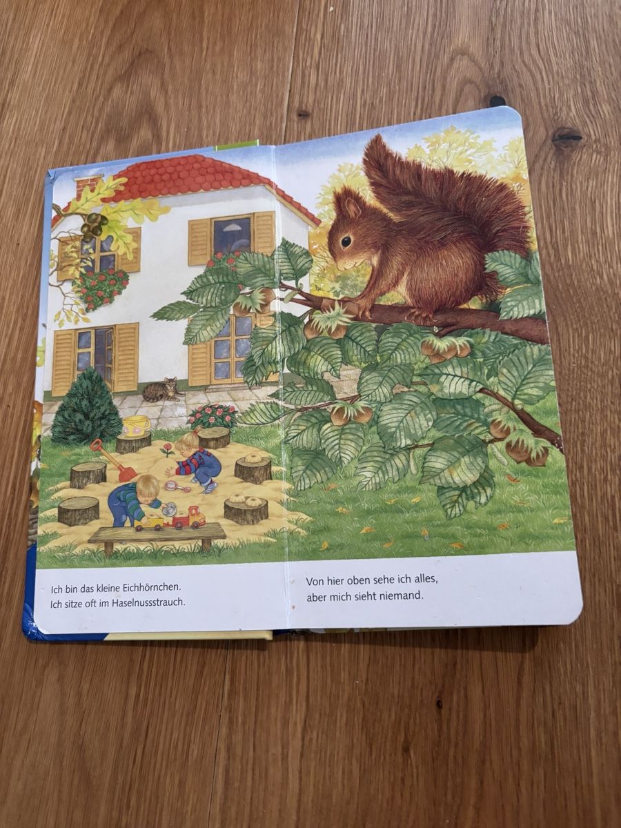 Libri: "Ich bin das kleine Eichhörnchen" - Ravensburger Buch – Usato da Jegenstorf venduto da Annina0506 1