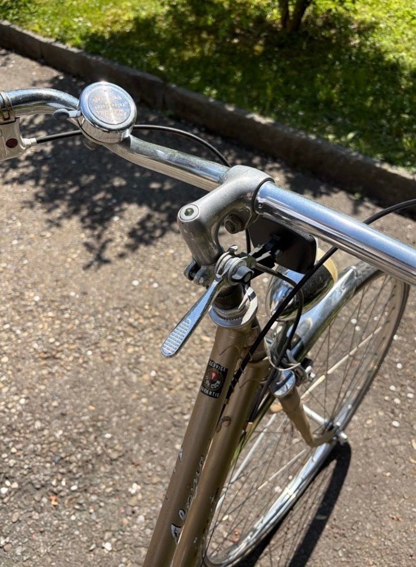 Alpina Biciclette: Vintage Alpina Damenrad – Difettoso da Zürich venduto da sim_z5x5 4
