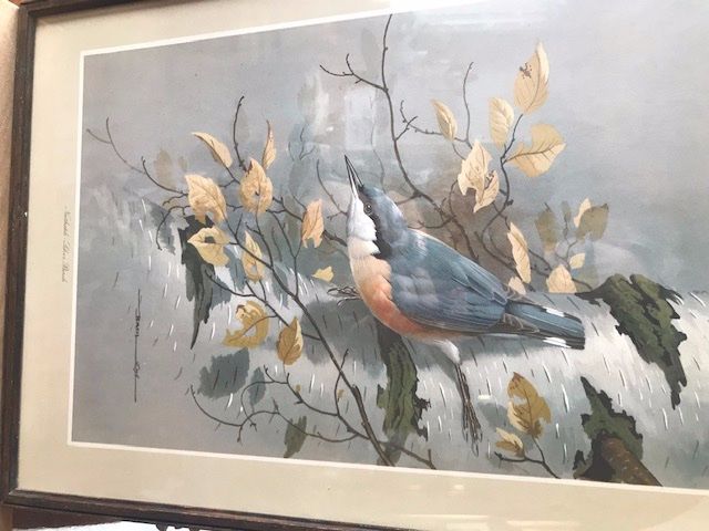 GRAVURE ANGLAISE OISEAUX Kaufen Auf Ricardo