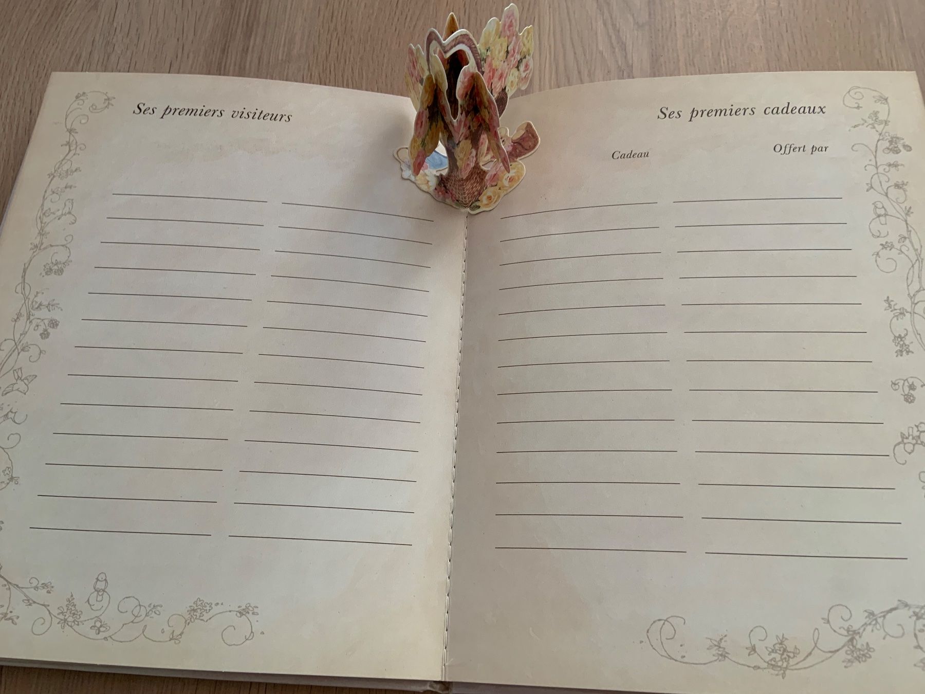 Album: Album photos ancien – Usato da Ecublens VD venduto da timily 3