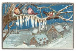 Neujahr - a happy New Jear - Vögel Winter - Präge-Litho 1911