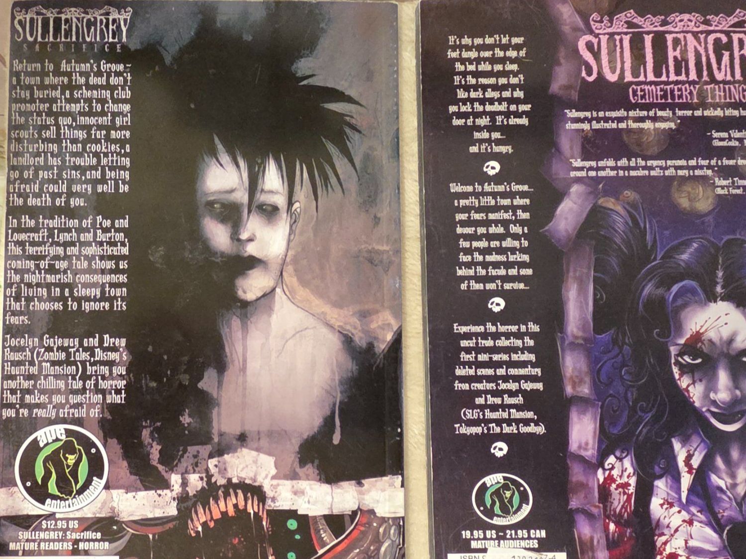 Fumetti: Lot de 2 BD Sullengrey "Sacrifice" et "Cemetery Things" – Usato da Genève venduto da BruceKampbell 1