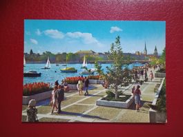 Zürich Blumenanlagen am Utoquai belebte Ak