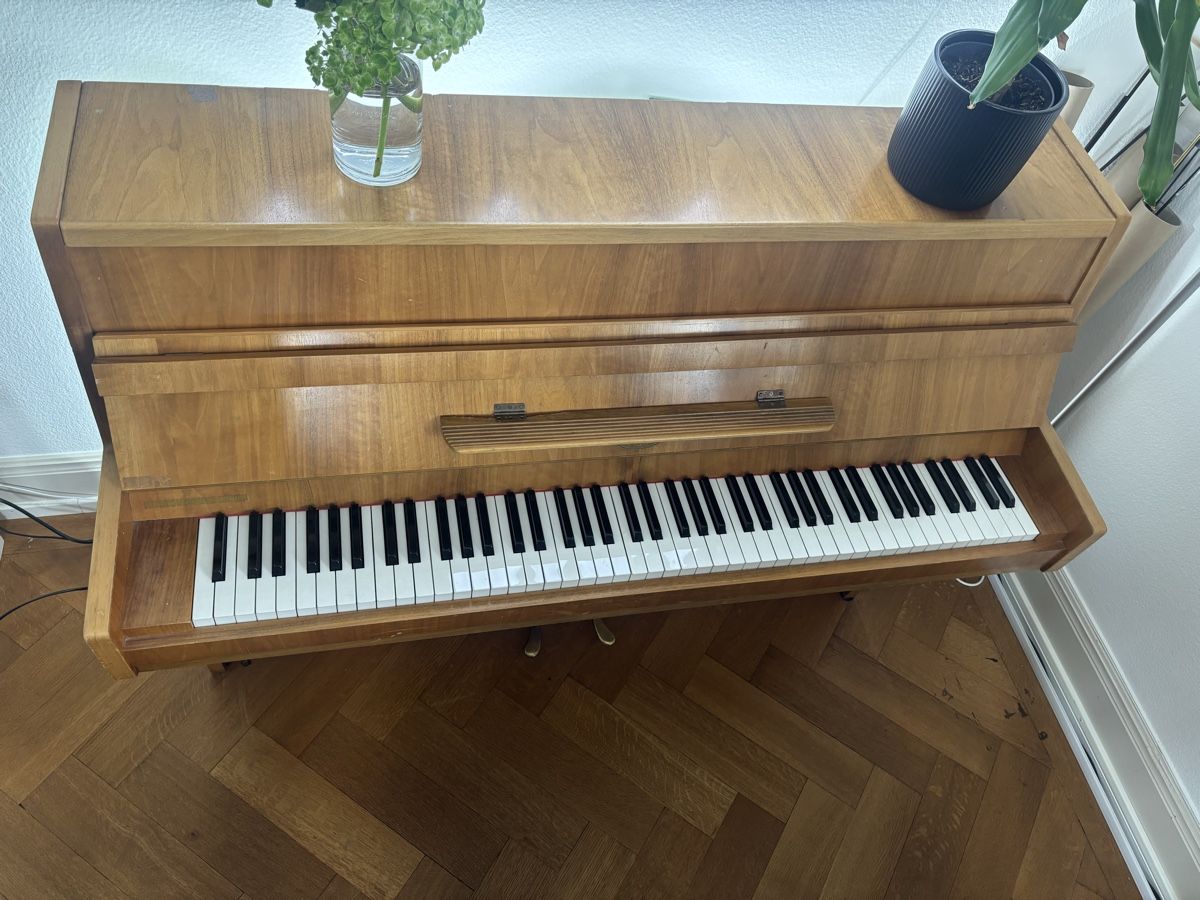 Strumenti musicali: Salbei Upright Piano – Usato da Zollikon venduto da ric_mk5n 6
