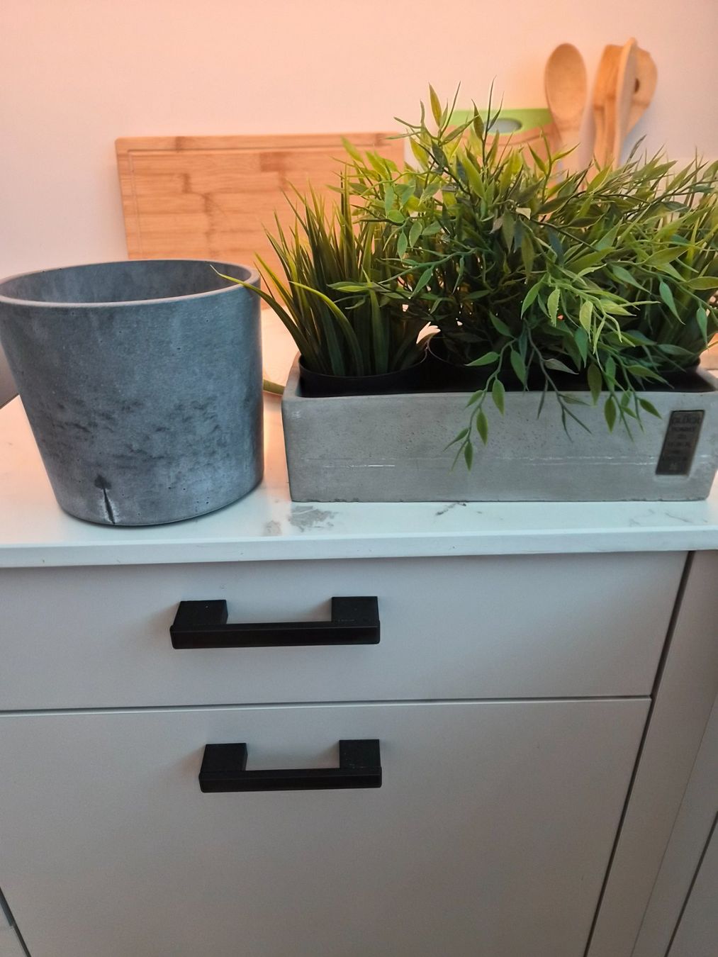 Alle Dekorationen: Artificial Plants in Concrete Pot & Concrete Pot – Gebraucht aus Maur von Sofi___